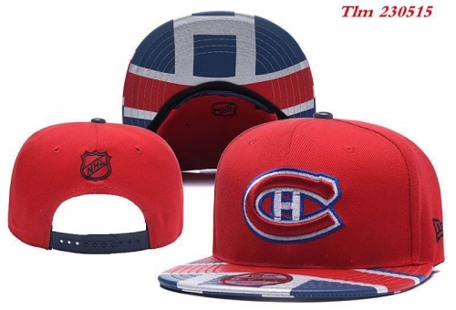 NHL Snapbacks 1099