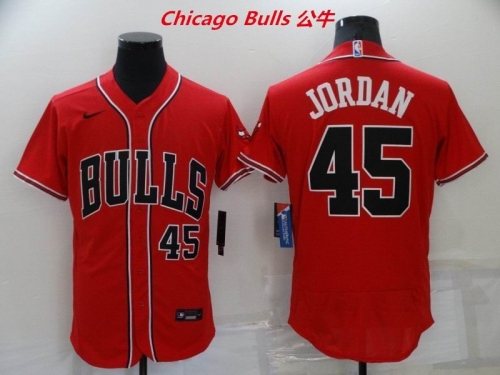 NBA-Chicago Bulls 589 Men