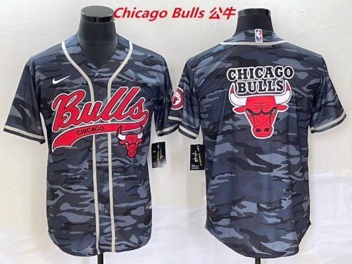 NBA-Chicago Bulls 585 Men