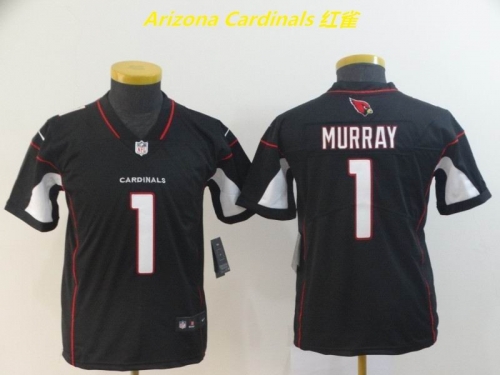 NFL Arizona Cardinals 085 Youth/Boy