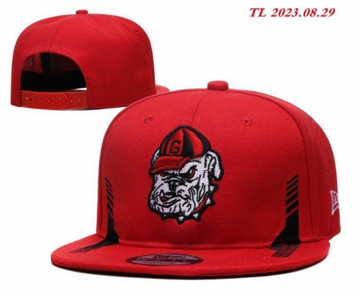 NCAA Snapbacks 1210