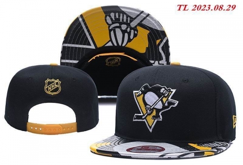 NHL Snapbacks 1121