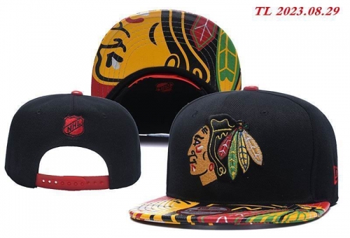 NHL Snapbacks 1120