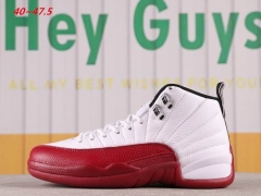 Jordan 12 AAAA 396 Men