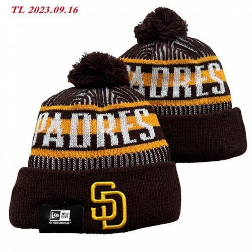 2023/24/25 MLB Beanies 2017