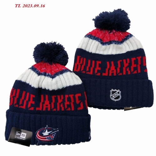 2023/24/25 NHL Beanies 2028