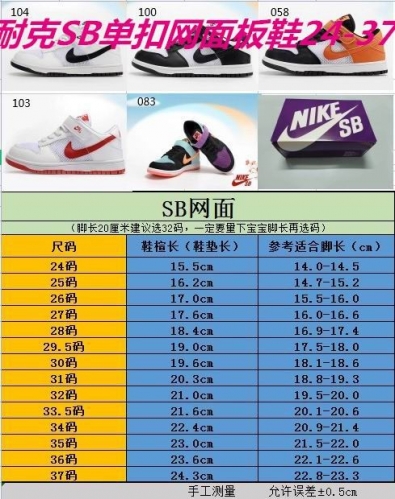 Dunk SB Kids Shoes 346