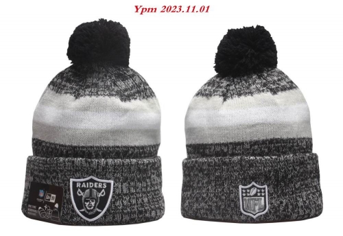 2023/24/25 NFL Beanies 2429