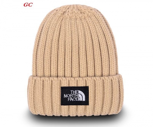 Fashion Beanies AAA 1101