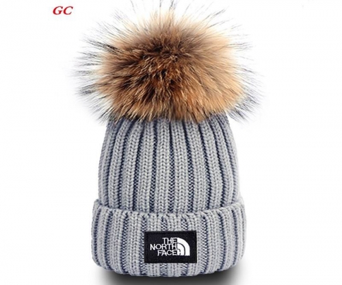 Fashion Beanies AAA 1110