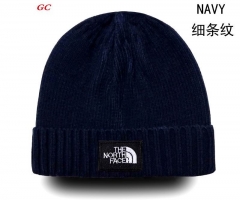 Fashion Beanies AAA 1107