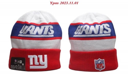 2023/24/25 NFL Beanies 2402