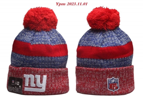 2023/24/25 NFL Beanies 2450