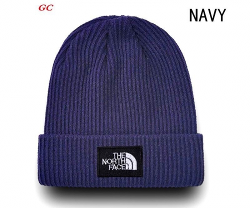 Fashion Beanies AAA 1093