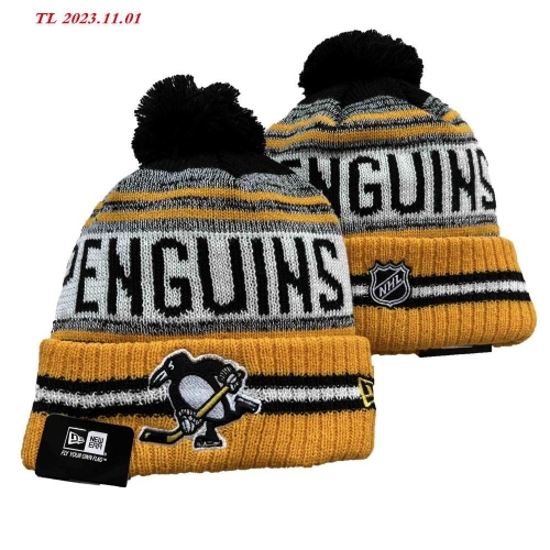 2023/24/25 NHL Beanies 2043