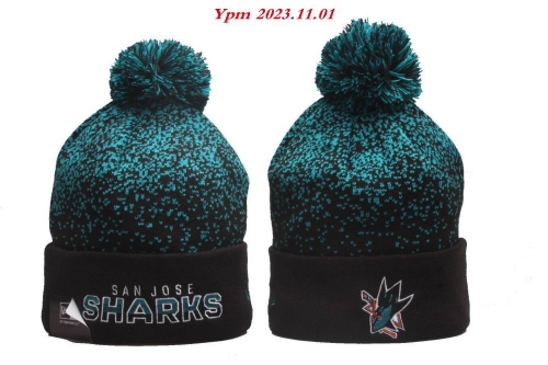 2023/24/25 NHL Beanies 2073