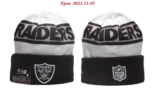 2023/24/25 NFL Beanies 2411