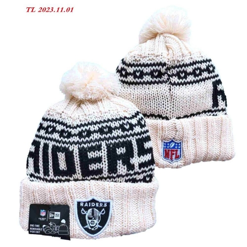 2023/24/25 NFL Beanies 2162