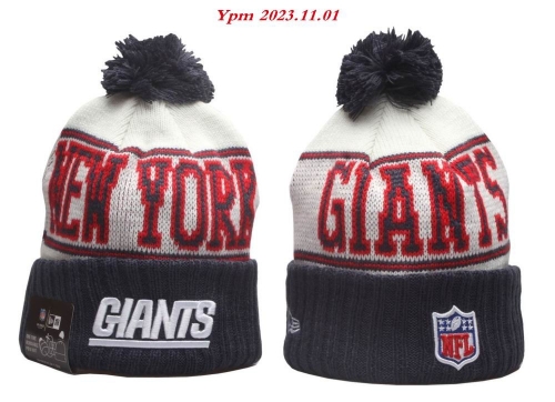 2023/24/25 NFL Beanies 2470