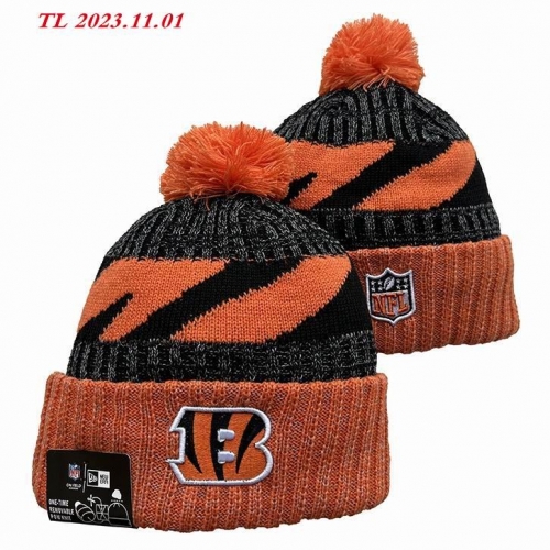 2023/24/25 NFL Beanies 2290