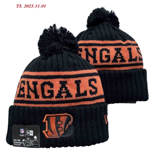 2023/24/25 NFL Beanies 2289