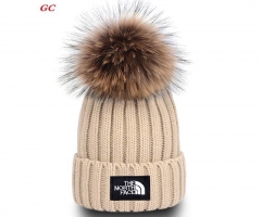 Fashion Beanies AAA 1112