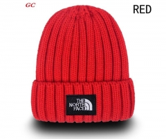 Fashion Beanies AAA 1104