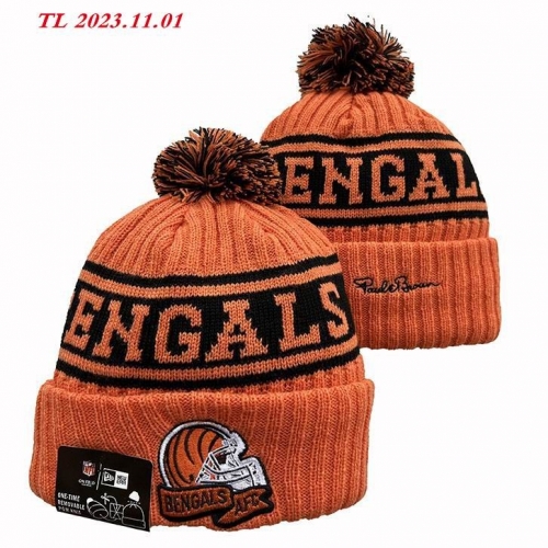 2023/24/25 NFL Beanies 2265