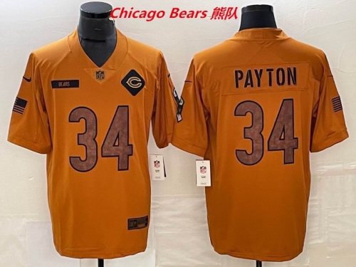 NFL Chicago Bears 229 Men