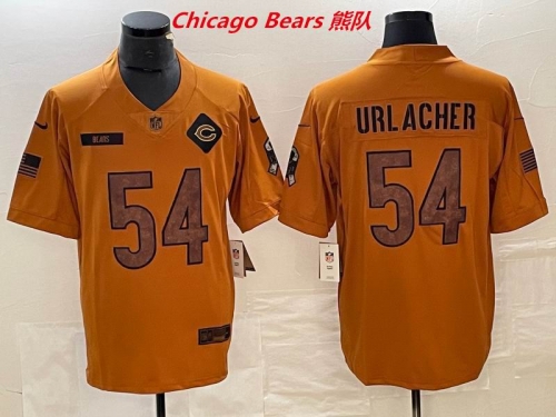 NFL Chicago Bears 231 Men