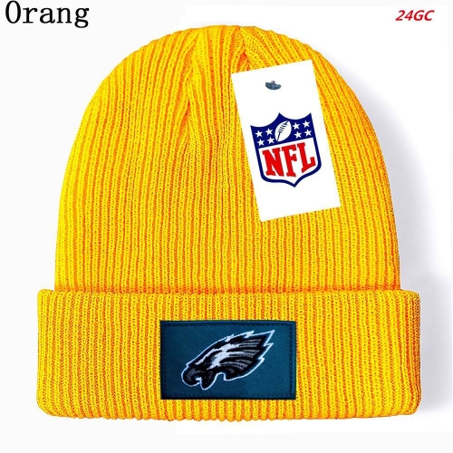 N.F.L. Beanies 1027