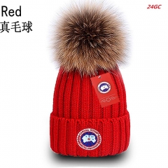 G.o.o.s.e. Beanies 1077