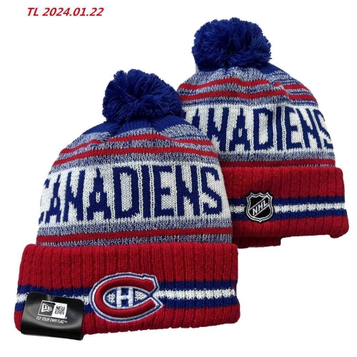 2024/25 NHL Beanies 2099