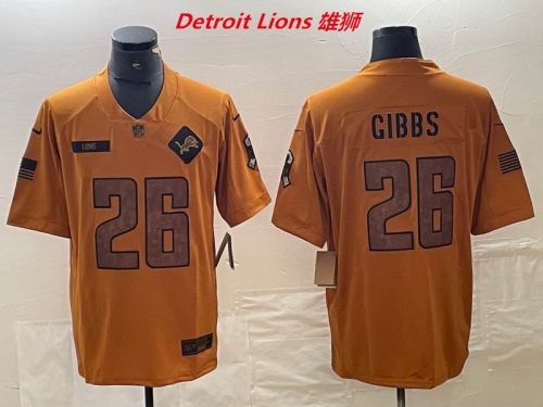 NFL Detroit Lions 111 Men