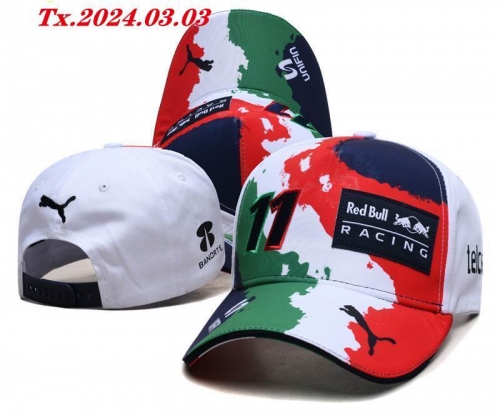 R.e.d. B.u.l.l. P.u.m.a. Hats AA 1103