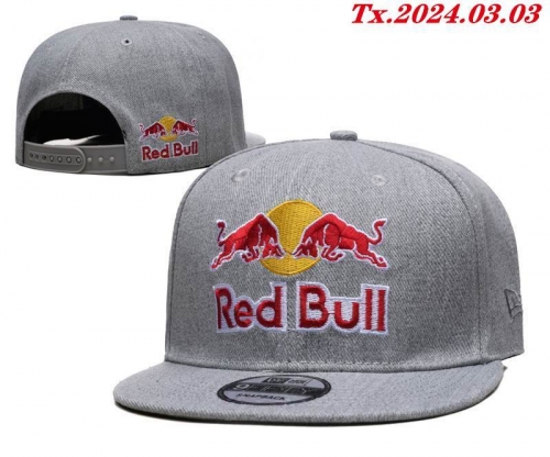 R.e.d. B.u.l.l. P.u.m.a. Hats AA 1098