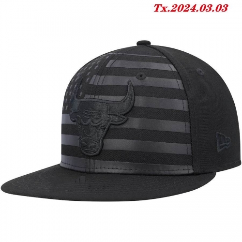 NBA Snapbacks 2091