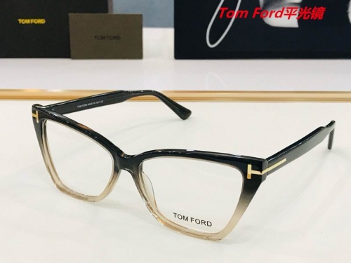 T.o.m. F.o.r.d. Plain Glasses AAAA 4202