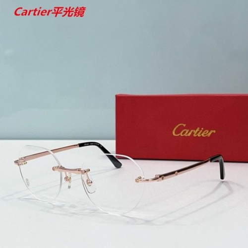 C.a.r.t.i.e.r. Plain Glasses AAAA 4491