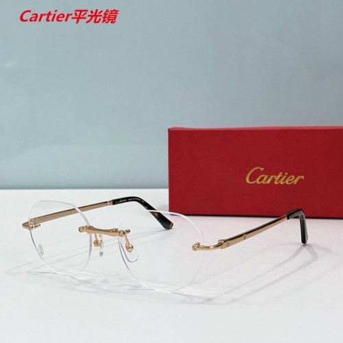 C.a.r.t.i.e.r. Plain Glasses AAAA 4490