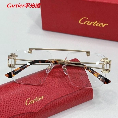 C.a.r.t.i.e.r. Plain Glasses AAAA 4735