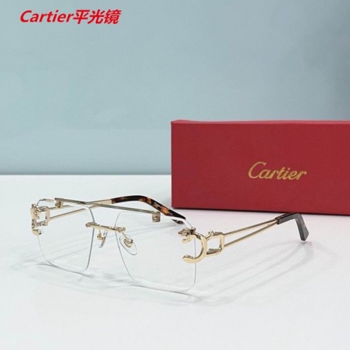 C.a.r.t.i.e.r. Plain Glasses AAAA 4739