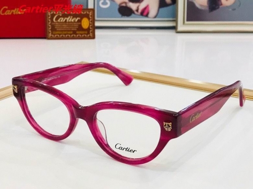 C.a.r.t.i.e.r. Plain Glasses AAAA 4029