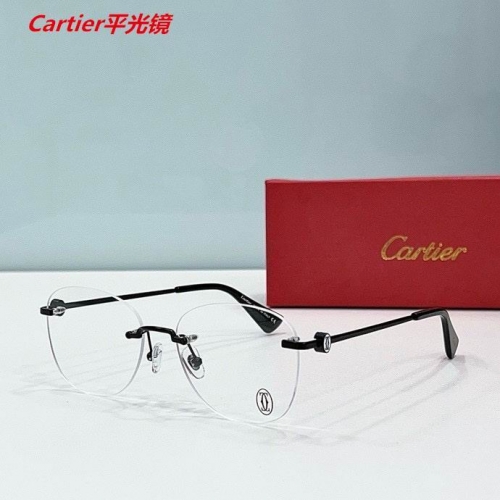 C.a.r.t.i.e.r. Plain Glasses AAAA 4619