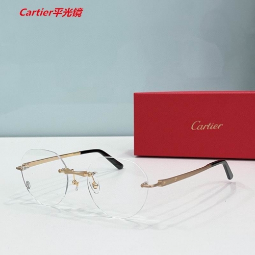 C.a.r.t.i.e.r. Plain Glasses AAAA 4870