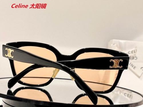 C.e.l.i.n.e. Sunglasses AAAA 4721