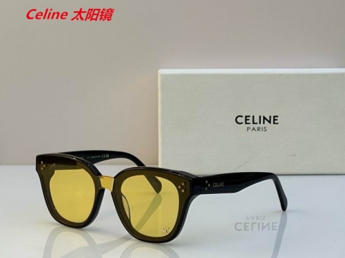 C.e.l.i.n.e. Sunglasses AAAA 4824