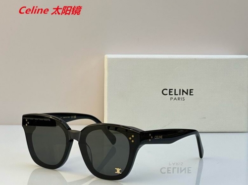 C.e.l.i.n.e. Sunglasses AAAA 4820