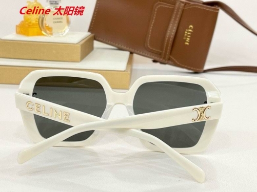 C.e.l.i.n.e. Sunglasses AAAA 4918