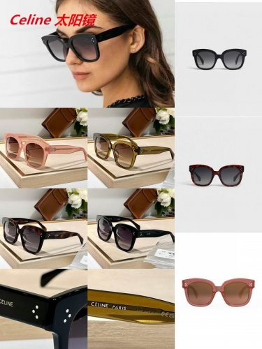 C.e.l.i.n.e. Sunglasses AAAA 4960